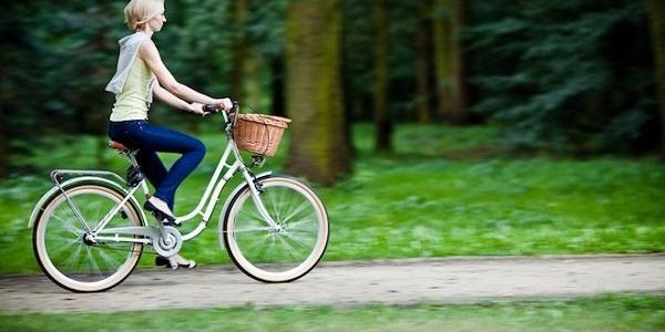 Вокруг крупных городов будут создаваться «зелёные щиты»