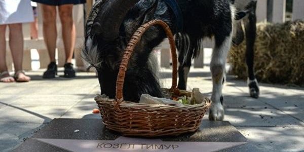 Козёл Тимур открыл в Москве Аллею славы