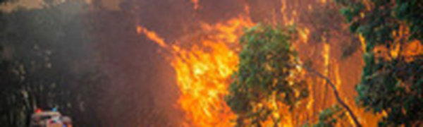 Лесные пожары бушуют в западной части Австралии