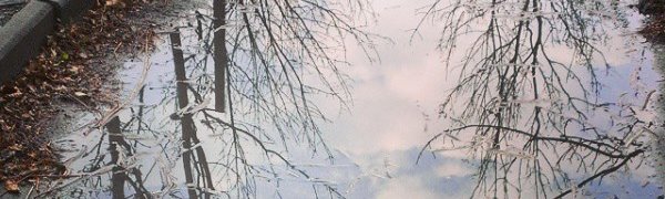 Утренняя гроза в снимках Instagram