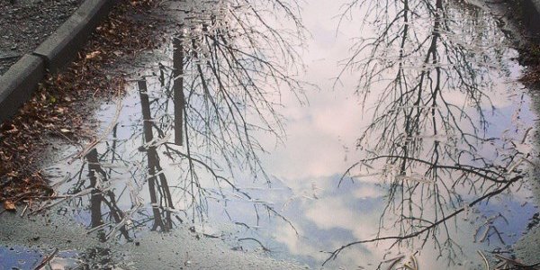 Утренняя гроза в снимках Instagram