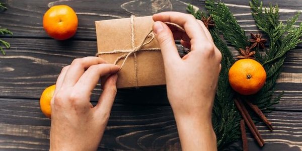 Идеи экологичных новогодних подарков от Всемирного фонда дикой природы