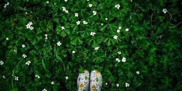 Циклон принесет в Приморье дожди и прохладу