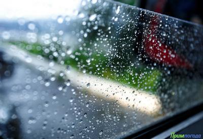 Дожди разной интенсивности пройдут в Приморье во вторник