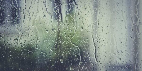 Первая декада июля в Приморье оказалась теплой и влажной