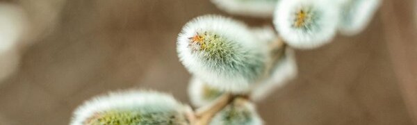 Погода и приметы на 8 апреля