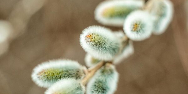 Погода и приметы на 8 апреля