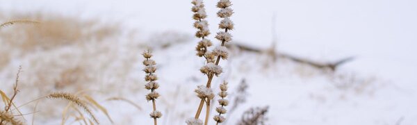 Погода в Приморье на выходных обещает снова удивить