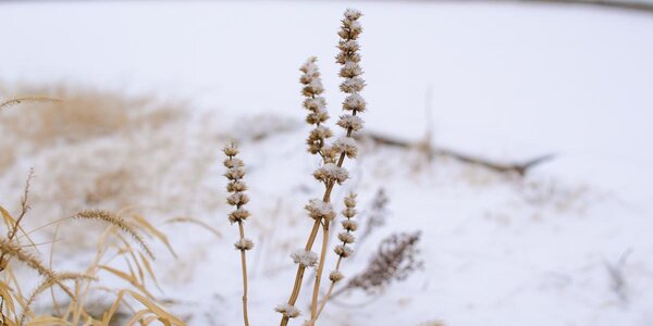 Погода в Приморье на выходных обещает снова удивить