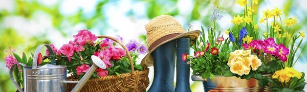 За выезд на дачу приморцев штрафовать не будут