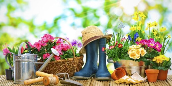 За выезд на дачу приморцев штрафовать не будут