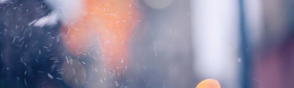 В начале следующей недели во Владивостоке будет спокойная погода