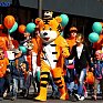 Во Владивостоке начался приём заявок на карнавальное шествие в День тигра