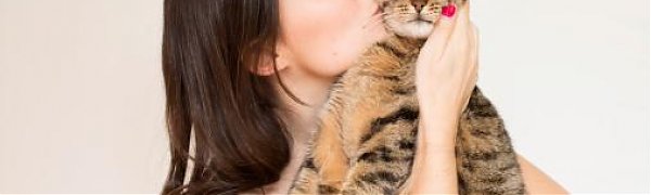 Учёные узнали, как осчастливить кошек