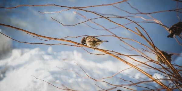 В выходные дни в Приморье ожидается холодная без осадков погода