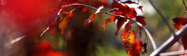 Резкое похолодание ждёт жителей Приморья в начале следующей недели