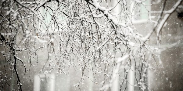 Осадки в Приморье прекратятся в среду, 20 января