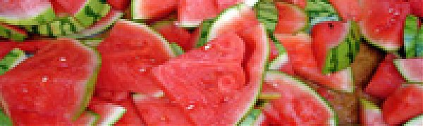 Арбузы защитят подмосковные леса от огня 