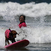 Собачий серфинг