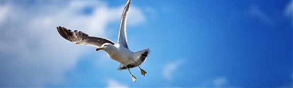 Тропические штормы обойдут Приморье стороной