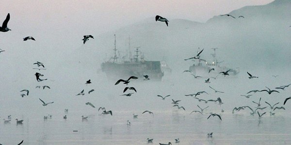 Тайфун «Чой-Ван» обрушился на Сахалин и Курилы