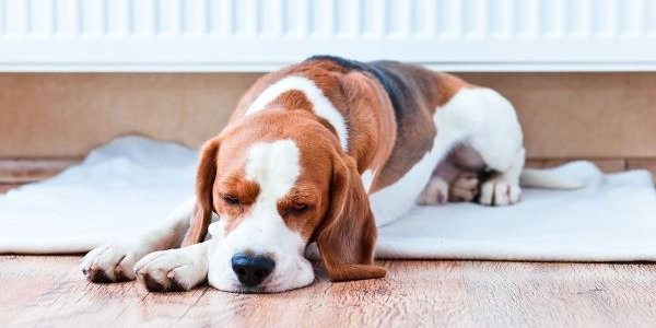 К 15 октября Владивосток будет полностью готов к отопительному сезону