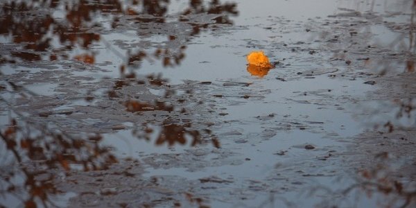 До конца недели ненастная погода не покинет Приморье