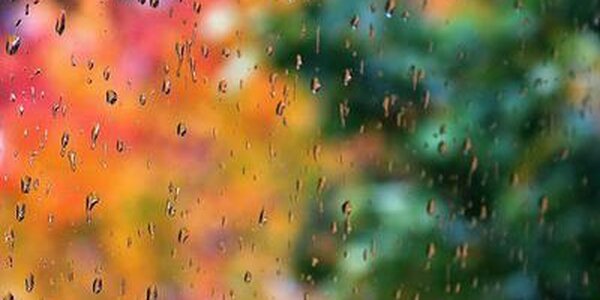 Во власти стихии находится Приморье сегодня