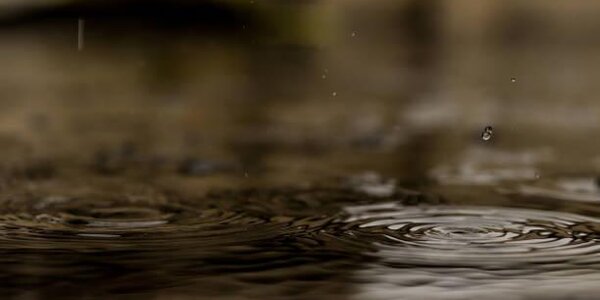 Из-за дождей в Приморье сохранится высокая водность рек