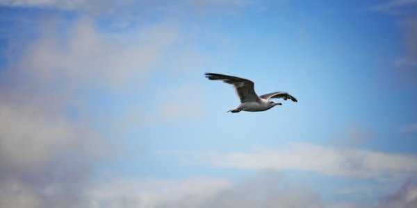 В Приморье сохраняется неустойчивый характер погоды