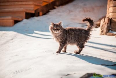 Январь в Приморье выдался теплым