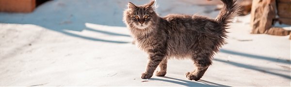 Январь в Приморье выдался теплым