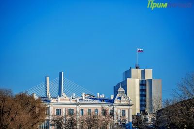 Чем дышал Владивосток с 21 по 31 января?