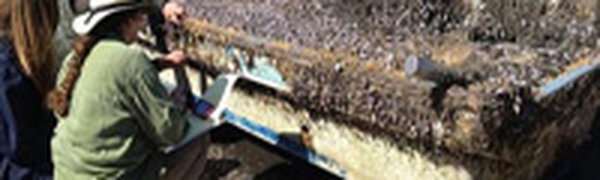 Японская лодка, унесенная цунами, приплыла в Калифорнию