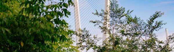 Во Владивостоке на этой неделе преимущественно без осадков