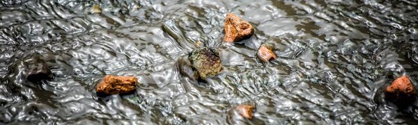 Тайфун «Бави» превратится в грозный циклон сегодня днем