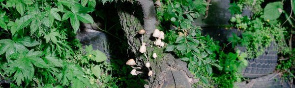 Стала известна погода в последние выходные августа в Приморье