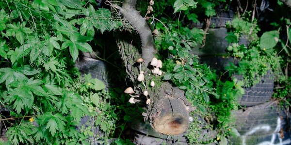 Стала известна погода в последние выходные августа в Приморье