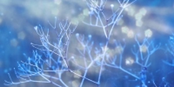 Антициклон из Китая «заморозит» Дальний Восток