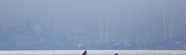 Чем порадует погода в Приморье в последние выходные января, рассказали синоптики