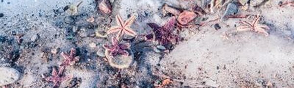 Погода в Приморье на этой неделе порадует более комфортной температурой