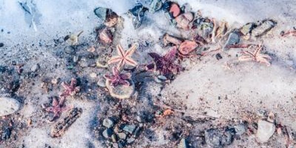 Погода в Приморье на этой неделе порадует более комфортной температурой