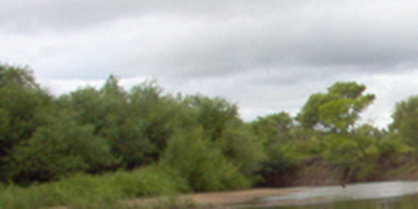 Из-за дождя на большинстве рек Приморья ожидается подъем уровня воды
