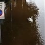 Наводнение в Великобритании: последствия