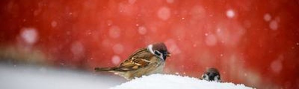 Циклон и похолодание: какая погода ждёт Приморье в праздничные выходные