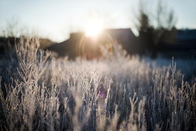 Планета пережила самую теплую зиму за всю историю