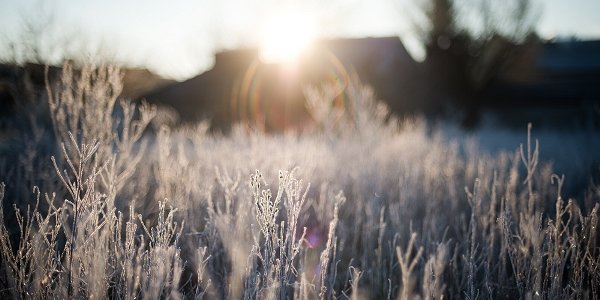 Планета пережила самую теплую зиму за всю историю