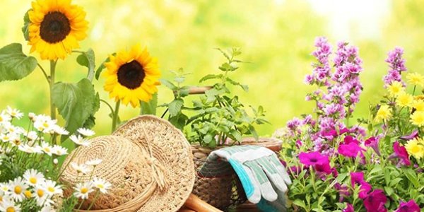 Во Владивостоке выходят на линию дачные маршруты автобусов (РАСПИСАНИЕ)