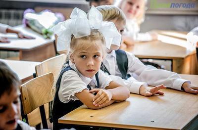 С 1 февраля во Владивостоке начнется запись детей в первые классы