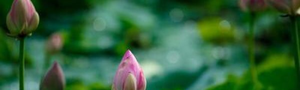 Первое дыхание осени в Приморье: ночи становятся прохладными, днем жарко